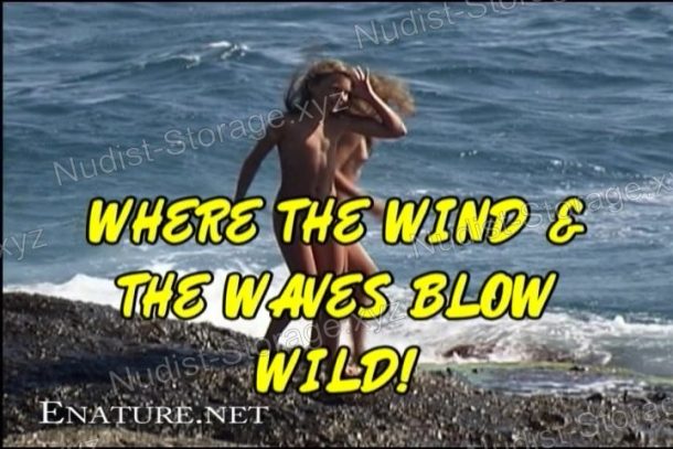 Screenshot of Where the Wind and the Waves Blow Wild!